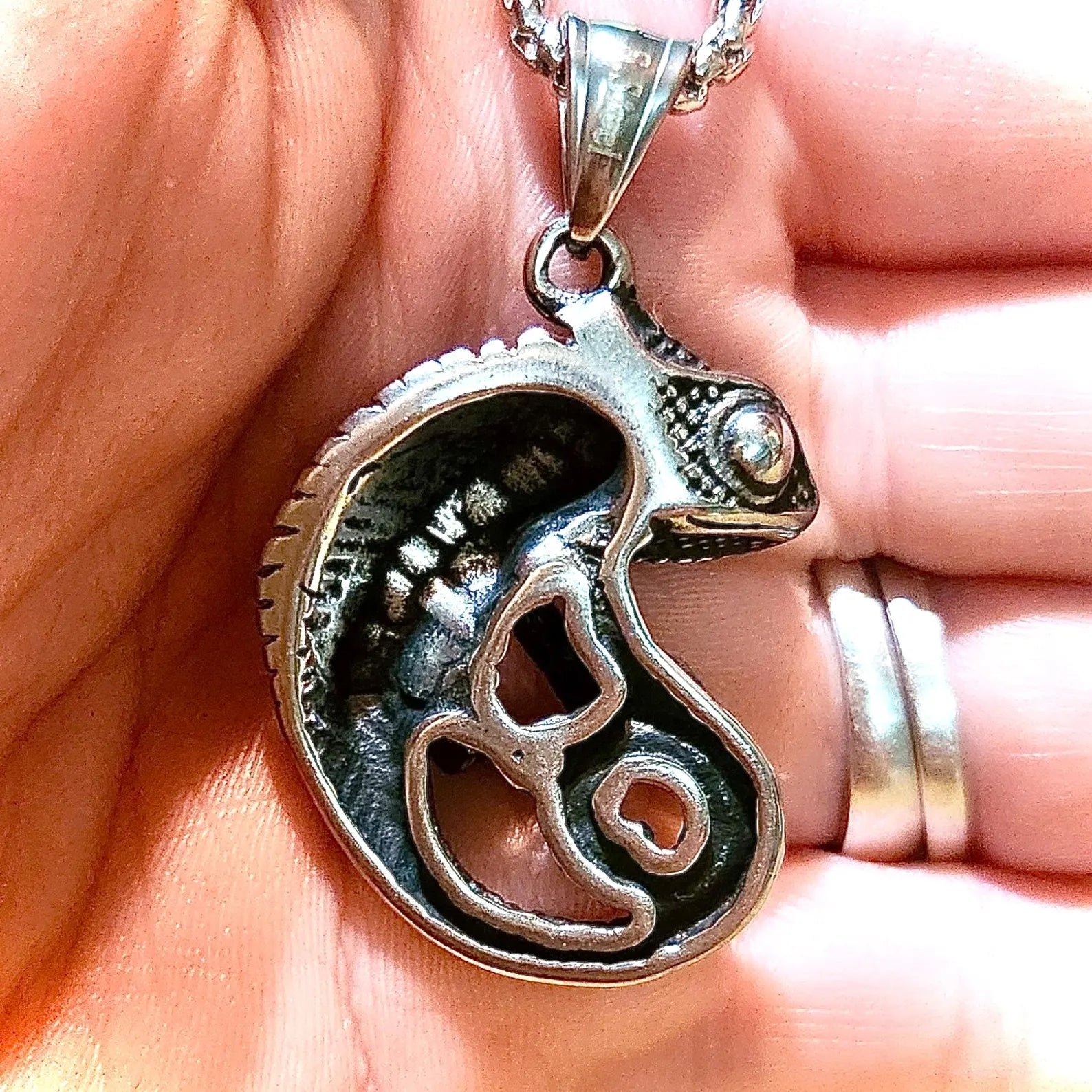 Chameleon Necklace, Lizard Pendant, Reptile Lover Gifts, Stainless Steel Necklace, Birthday Gift, Cool Necklace Pendant, Wildlife Jewelry